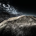 One Tree Hill, Maungakiekie, Sunrise, Auckland, New Zealand, Feb 2017