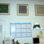 Quantum Foam Installed at MoFo