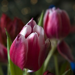 What are you doing New Year's Eve?