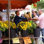 Mainz, Markt, Blumenstand (market, flower stall)