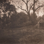 Digging Jezebel's Grave