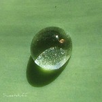 Intruder alert....intruder alert!