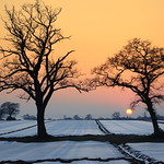 Field near Newbourne, Suffolk