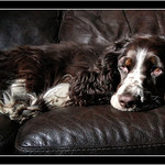 Ruby busy doin nothing