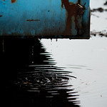 Acqua d'Europa. Eau d'Europe. European water ( lost and found/retrospective)