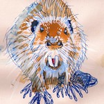 Beaver