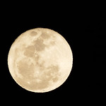 perigee / full / super / beaver / frost moon, the largest and brightest moon in the sky since 1948! 11-16*