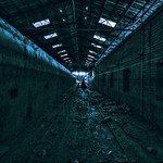 Honey where are you?