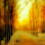 Thanks for not turning out the light