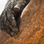 Help! I need a manicure