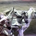 Ben Hur - Live - 10/3819