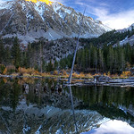 Lundy Lake Beaver Dams