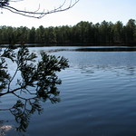 Batsto Lake Wharton Forest NJ 4917