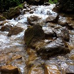 stream