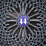 44