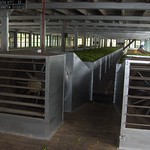 Mackwood's Labookellie Tea Centre - outside Nuwara Eliya, Sri Lanka