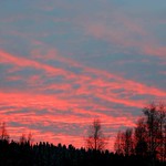 Nii palju siis p&auml;ikest!