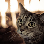 | November, I missed you |