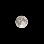 Full Strawberry Moon