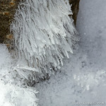 Surface Hoar Frost above a Mouse hole in the snow R1353 London, ON PFN