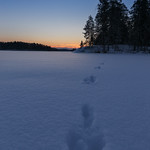 Waiting for the sun.