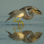 Frozen reflection {Explored}