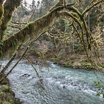 Sixes River Recreation Site