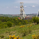Clipstone Head Stocks