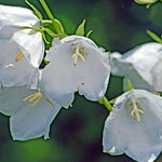 image0029_bearbeitet-5 (2)