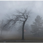 FEBRUARY 2017-020857-222