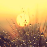 Crying to forget you