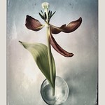 Probably her last day