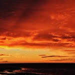 Wild night ahead #2 (Explore)