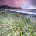 Erlid y Golau / Chasing the Light