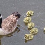 Born just in time for Easter!