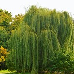 Guildford Walk October 2013