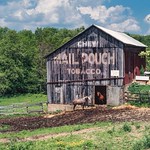 Mail Pouch Barn and Horse