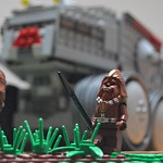 Kashyyyk