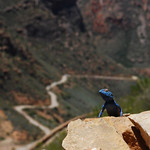 custodian of the pass