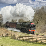 The Royal Scot