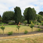 Ballantyne Memorial Rose Garden