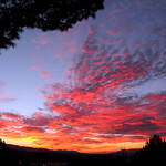 &ldquo;...my dreams are tangled in images of stars and clouds and firelight