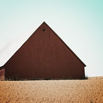 Another Barn