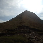 Cribyn