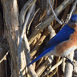 Be sure to get my good side!