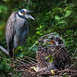 Growing, Day By Day - IMG3138