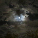 Blood Moon Before It Turned Red