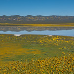 Soda Lake reflection