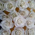 Ivory roses