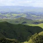 Rolling Green Landscape